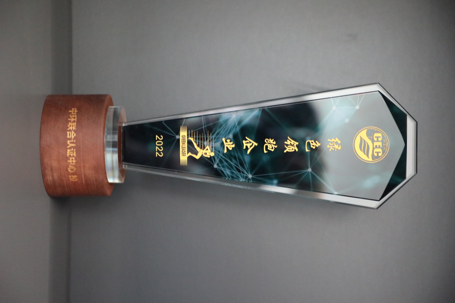 美巢深耕家裝環(huán)保輔料賽道，榮獲“綠色領跑企業(yè)”稱號