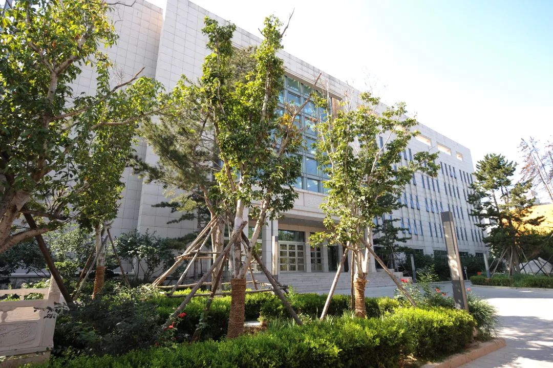 美巢深耕家裝環(huán)保輔料賽道，榮獲“綠色領跑企業(yè)”稱號